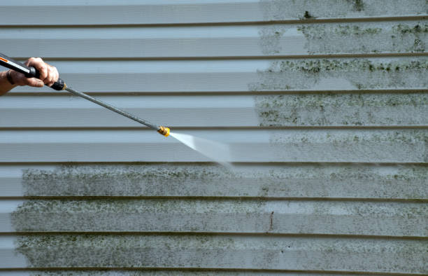 Best Commercial Mold Removal  in Center, TX