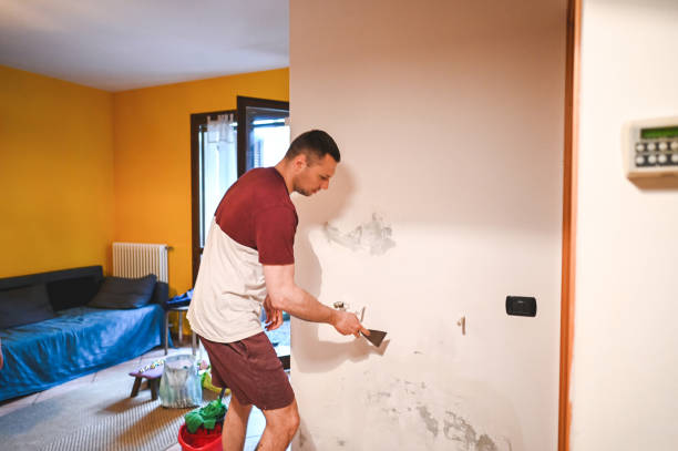 Home Mold Removal in Center, TX