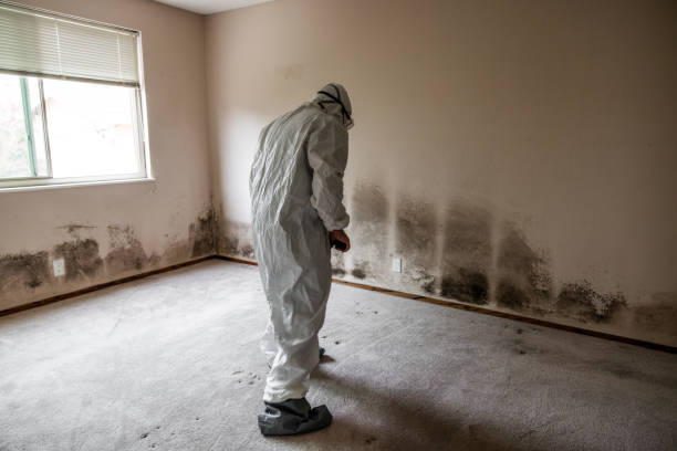 Best Mold Testing  in Center, TX