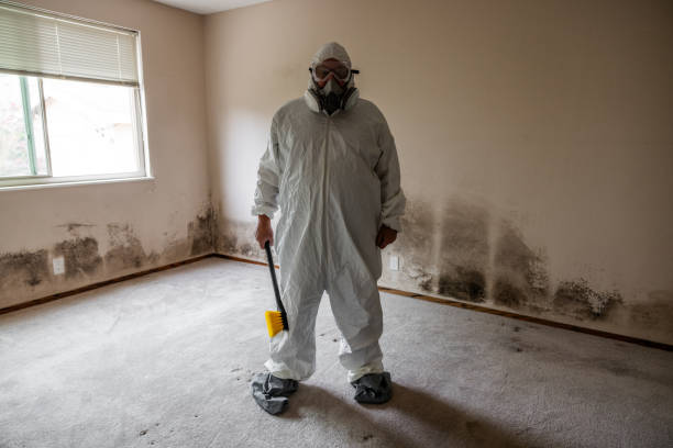 Best Office Mold Removal Services  in Center, TX